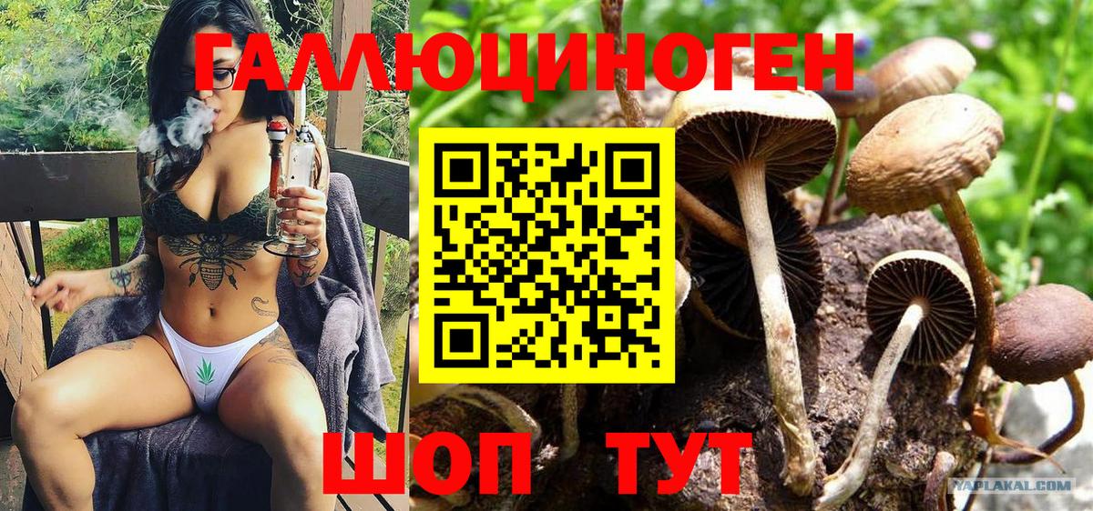Псилоцибиновые грибы мухоморы  Вход с VPN  Новочебоксарск 